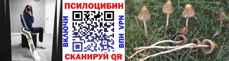 Галлюциногенные грибы ЛСД  сколько стоит  Екатеринбург 