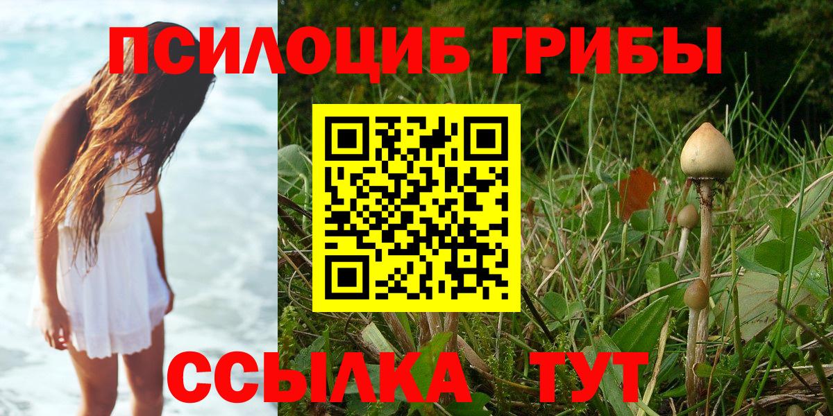 даркнет сайт  Екатеринбург  Галлюциногенные грибы прущие грибы 