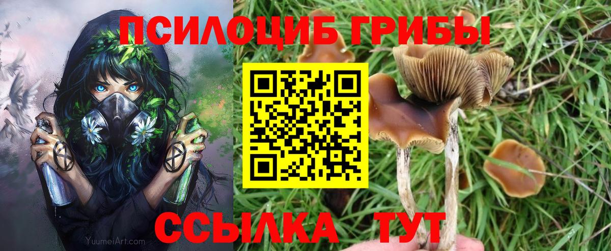 Галлюциногенные грибы мицелий Екатеринбург