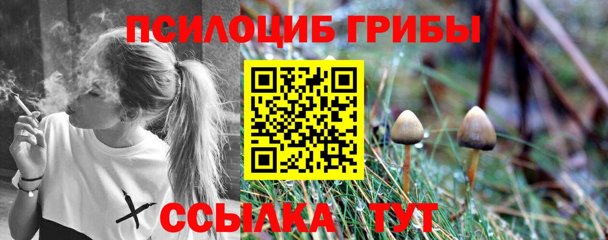 Екатеринбург  Псилоцибиновые грибы GOLDEN TEACHER  купить  цена  Вход с VPN 